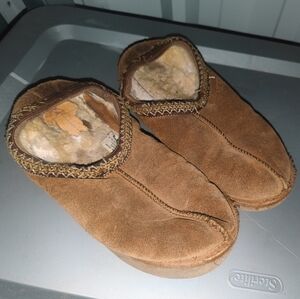 Uggs tasman